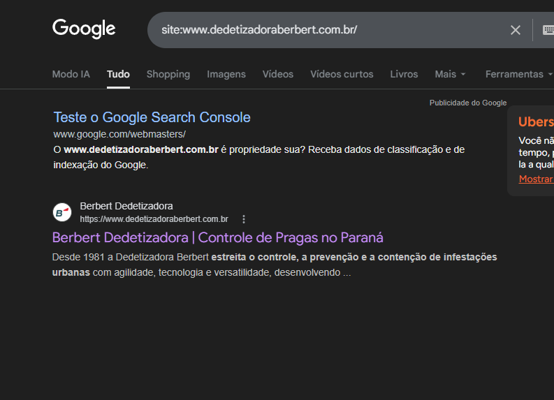 Erro de Indexação SEO